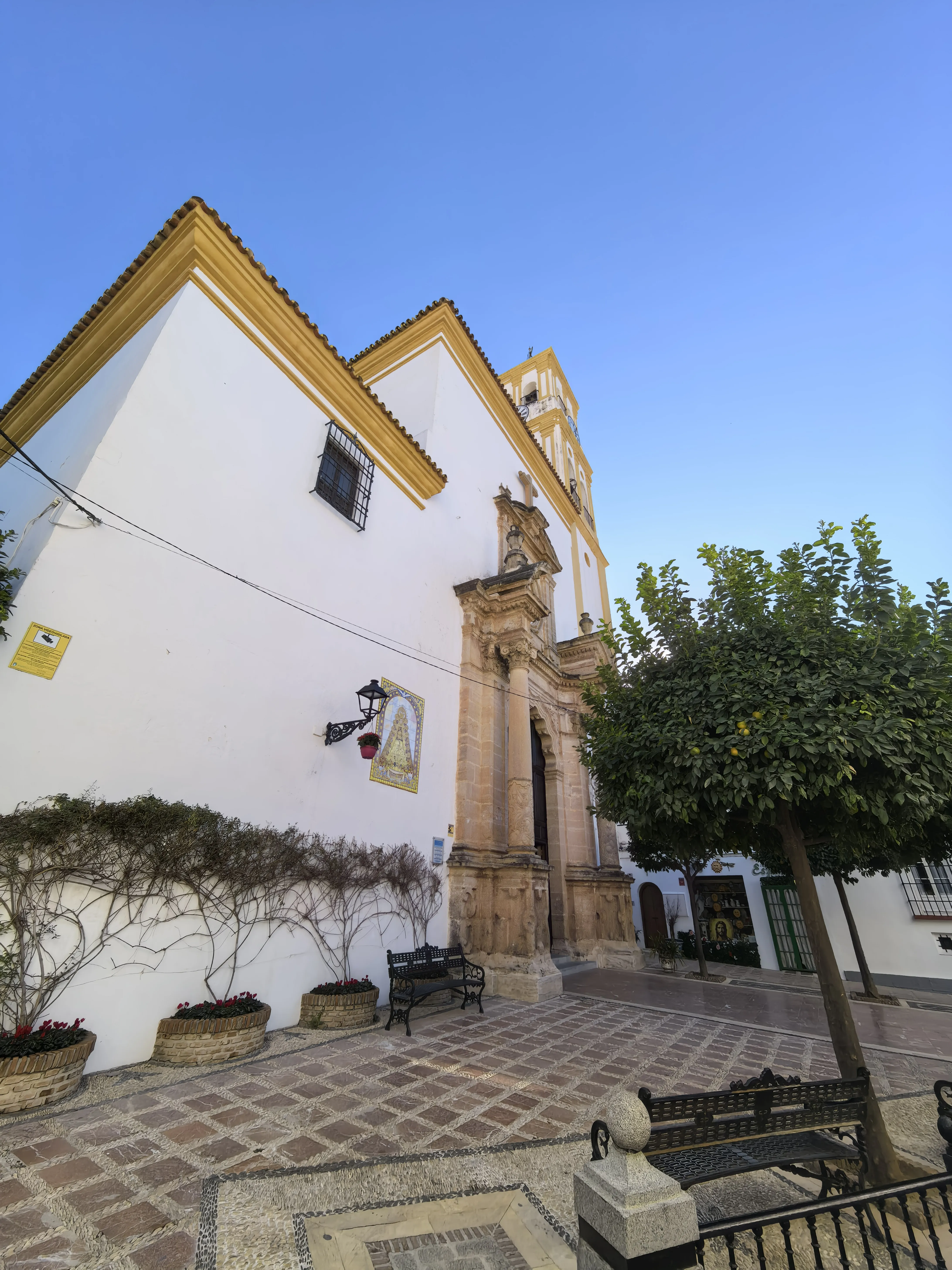 HUAWEI Pura 70 Ultra - System Aparatów - IMG_20251129_103124.webp